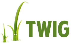 Twig Template